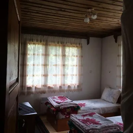 Pensiune Guesthouse Kutela